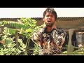 new sad song bhojpuri Sunu shrwabri ka 2020#