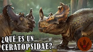 ¿QUÉ ES UN CERATOPSIDAE?