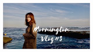 Mornington Peninsula Vlog#3/懒散的看海一日游，希望能陪伴在路上的你们！