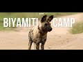 Biyamiti Bushveld Camp - Off the Beaten Path | Kruger National Park