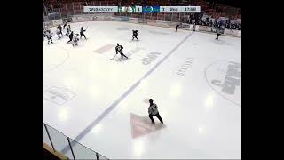 William Forsberg 2023-2024 Saskatchewan Junior Hockey League (SJHL) Season Highlights