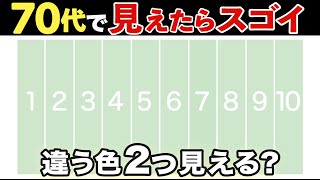 【高齢者向け脳トレ】#39 色の違いを見分けるテストに挑戦！見えたら脳年齢20代⁉︎色探しクイズで朝から頭の体操【全10問】