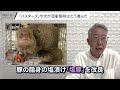 【解説人語】奄美大島でマングース「根絶宣言」　3万2千匹を捕獲「世界的成果」への歩み　ハブとマングースはそもそも出会わなかった？