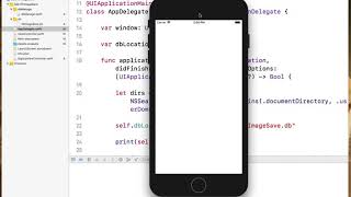 iOS Database Part 2 : Copy Database file