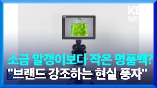 소금 알갱이보다 작은 명품백?…“브랜드만 강조하는 현실 풍자” [잇슈 SNS] / KBS  2023.06.23.