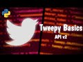 Beginner Tweepy Tutorial with Python [Tweet,  Retweet, Timeline, More]
