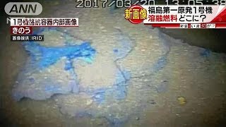 溶融燃料どこに？福島第一原発1号機、新画像公開(17/03/21)