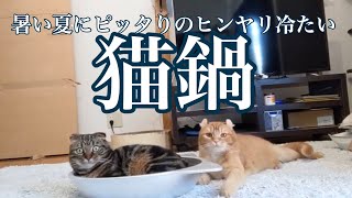 暑い夏にピッタリな冷たい猫鍋を買ってみました！【アルミ製】【ひんやり】