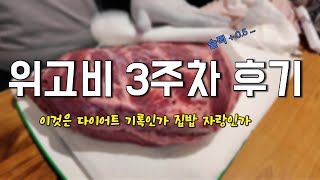 [시험관 위고비 다이어트 3] 코스트코 장보기로 시작하는 집밥 다이어트 ｜위고비 3주차