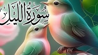 Most Beautiful Recitation of Quran | Sura Lail With Translation | سورہ لیل ترجمہ کیساتھ