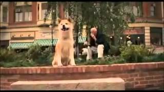 Hachiko- Hachi- A Dog's Story. ♪ ♡ - right here waiting for you. (╥﹏╥)