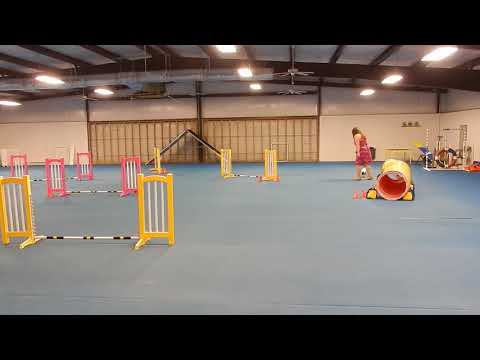 Hestia Agility 06072018 Hestia Agility 06072018