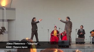 Alma Flamenca - \