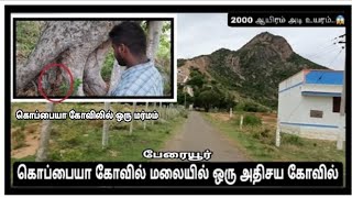 கொப்பையா கோவில்| பேரையூர்| K.K.G நகர்| Tamil vlog| மதுரை மாவட்டம் | Traveler |