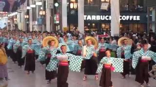 上町よさこい鳴子連　～2016高知よさこい祭り・全国大会(帯屋町筋会場)