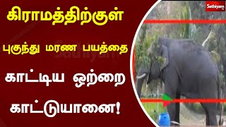 கிராமத்திற்குள் புகுந்து மரண பயத்தை காட்டிய ஒற்றை காட்டுயானை! | Elephant | Sathiyam TV