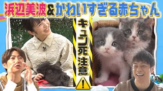 【浜辺美波＆陣内智則】相葉くんの連れてきたカワイすぎる赤ちゃんとは！？【YouTube限定】