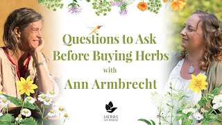 Questions to Ask Before Buying Herbs with Ann Armbrecht