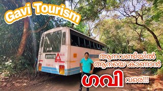 KSRTC Bus il ഒരു ഗവി യാത്ര part 1 | Gavi trip in KSRTC bus #keralatourism #gavi #ksrtc