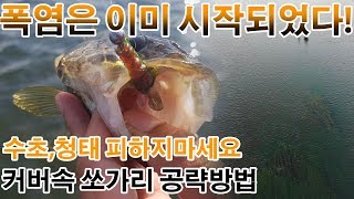 [ HD 자연을 꿈꾸다 ] - 수초,청태를 피하지마세요~! 지그헤드한테 양보하세요~! / 수초에 은신한 쏘가리 공략방법