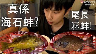 尾長冧蚌 + 海石蚌? 鯉魚門漢記 |香港海鮮｜fishcutting｜大飛品魚｜Seafood  ｜海鮮加工