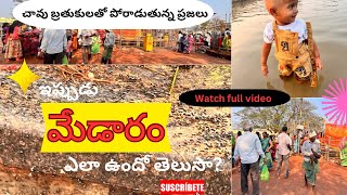 ఇప్పుడు మేడారం ఎలా ఉందో తెలుసా | మేడారం జాతర 2024 | ఆదివాసీల జీవనం | Telangana festivals | Telugu