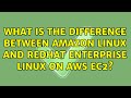 What is the difference between Amazon Linux and RedHat Enterprise Linux on AWS EC2? (2 Solutions!!)