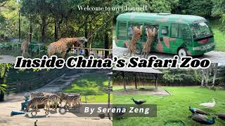 Animal Welfare at Shenzhen Safari Park | Zoo Life in China