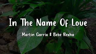 IN THE NAME OF LOVE - MARTIN GARRIX & BEBE REXHA | NATURE JUKEBOX (LYRICS)