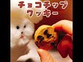 クッキー好きも唸る！うますぎるクッキーによぴチャン大満足！