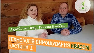 Досвідом вирощування квасолі ділиться агроном Андрій Хомин