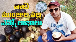 తాటిముంజలు /Taati Munjalu Benefits/ Palm Fruit Health Benefits /  Taati Munjalu Uses / ICONSTARS