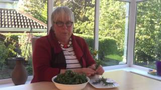 Kale Combinations - Cooking kale with rosemary