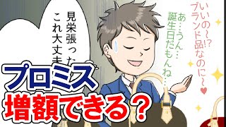 【漫画】プロミスのローンは増額できる？審査に通る条件はコレ！【お金借りるトリセツ】