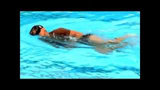 The Physical Ability And Stamina Test (PAST)