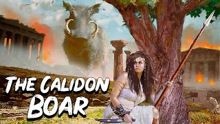 Meleager and Atalanta: The Hunt for The Calidon Boar - Greek Mythology Stories - See U in History