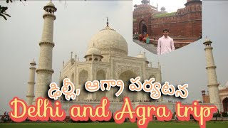 Delhi and Agra trip | taj mahal | red fort delhi | ఢిల్లీ, ఆగ్రా పర్యటన | ఢిల్లీ