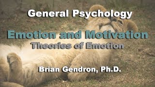 Emotion and Motivation - Theories Of Emotion