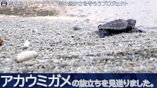 アカウミガメの旅立ちを見送りました～鹿児島ユナイテッドFC 海の豊かさを守ろうプロジェクト2022in喜入🐢⚽