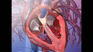 心脏瓣膜 三维立体动画演示 #人体解剖学 Heart valve 3D animation demonstration #HumanAnatomy