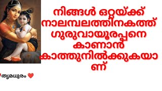 നിങ്ങൾ ഒറ്റയ്ക്ക് നാലമ്പലത്തിനകത്ത് ഗുരുവായൂരപ്പനെ കാണാൻ കാത്തുനിൽക്കുകയാണ്/#thrimadhuram