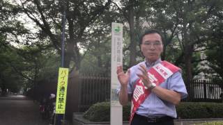 平和の森公園の整備について（17/6/29）