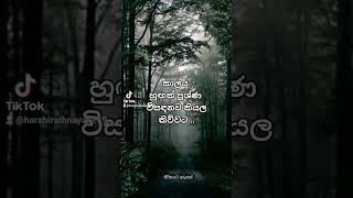 කාලයත් එක්ක ප්‍රශ්ණ අමතක වෙනව...🌸🌸🌸#sinhalamotivationvideo #advice #trendingshorts