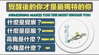 三個步驟，啟動自我覺察：覺醒後的你才是最獨特的你。什麼是自我覺察？什麼是臣服？探究高我與小我【黑貓大叔的修行札記】#覺察 #靈性成長 #覺醒之路