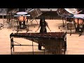 【buffalo marimba】the wave by p play keiko abe .mp4