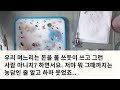 【실화사연】자기는 편하게 놀고 먹으면서 내게 당연하게 시조카를 맡기는 시누..