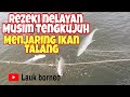 Menjaring ikan talang - rezeki dipagi hari