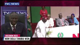 Tinubu Won Because Obi, Opposition Parties Couldn't Work Together - Afegbua