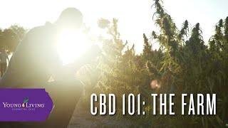 CBD 101: The Farm | Young Living Essential Oils