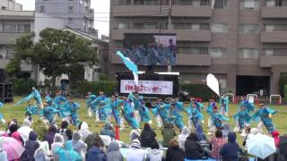 Ｔｅａｍ湘南－湘南よさこい祭り２０１６